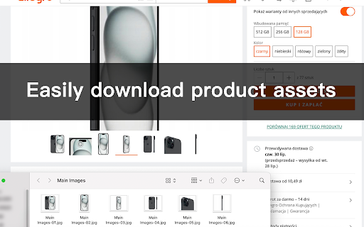 Allegro Image and Video Downloader screenshot