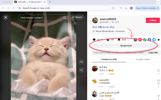 TikTok Downloader screenshot