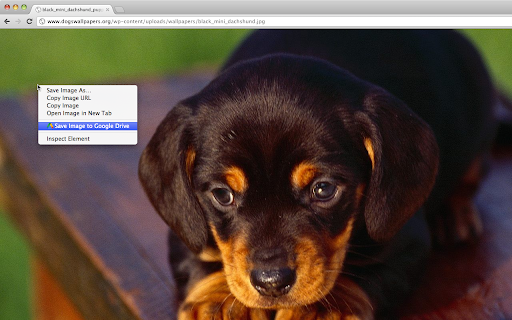 Save to Google Drive screenshot