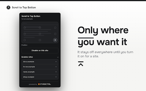 Scroll to Top Button — Floating Control for Each Website screenshot