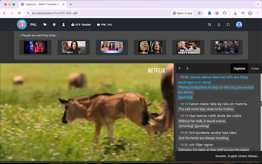 Captionz - YouTube Dual Subtitles & A-B Repeat screenshot