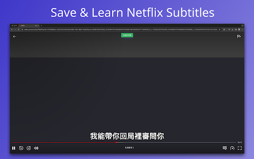 Netflix 雙語字幕 - MemSub screenshot