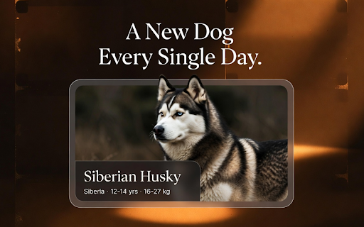 DogOfTheDay - Best Free Dog Photos Daily screenshot