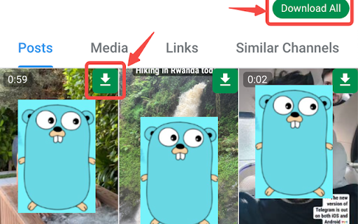 Telegram Downloader - Free Telegram Video Downloader screenshot