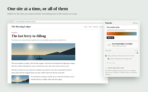Flipside — Page Colour Inverter screenshot