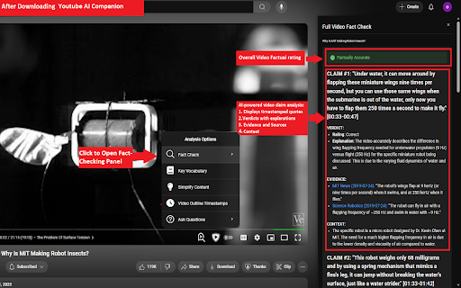 Youtube AI Companion screenshot