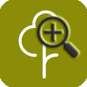 parkrun Extended Info icon