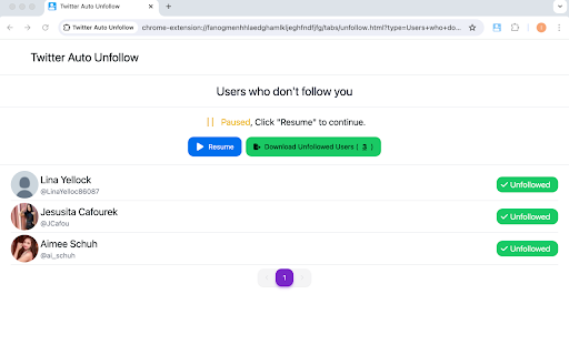 Twitter Auto Unfollow Tool screenshot
