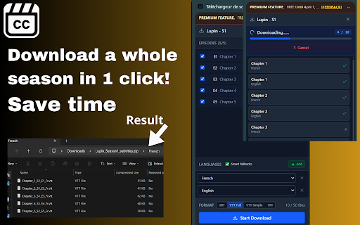 Subtitle Downloader: YouTube Netflix Disney+ Max Apple TV & Any Site screenshot