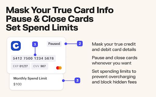 Privacy | Protect Your Payments screenshot