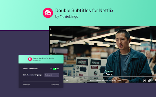 Double Subtitles for Netflix by MovieLingo screenshot