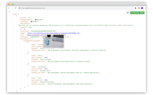 JSON Formatter screenshot