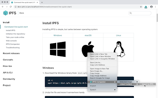 IPFS Companion screenshot
