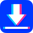 Mass TikTok Video Downloader icon
