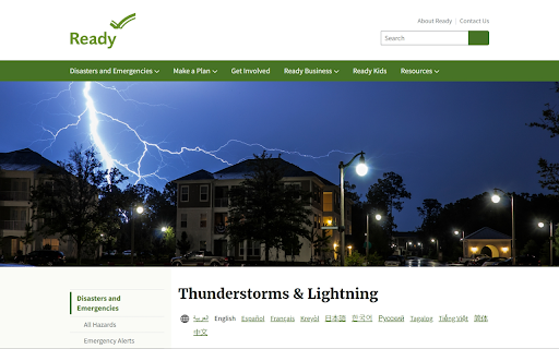 Kiwix JS Browser Extension screenshot