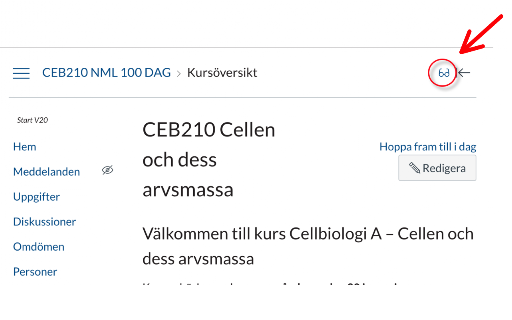 Canvas Quick Student View (any host name) screenshot