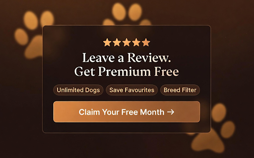 DogOfTheDay - Best Free Dog Photos Daily screenshot