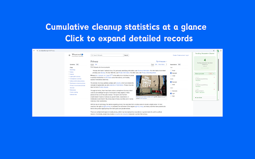 Tracking Parameter Cleaner - Auto Remove URL Tracking Parameters screenshot