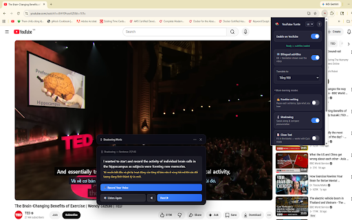 YouTube Turtle screenshot