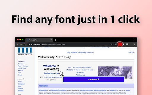 What the Font screenshot