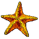 AutoDraw for skribbl.io icon