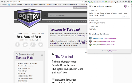 Rhymes.net screenshot