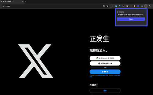X Token Login screenshot
