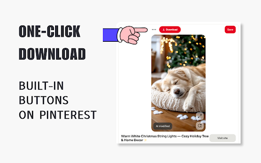 PinLoad - Pinterest Video Downloader screenshot
