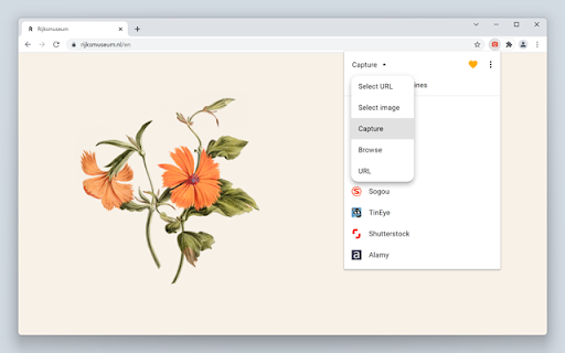 Search by Image screenshot