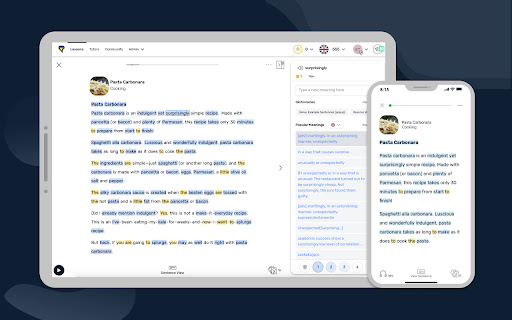 LingQ Importer screenshot