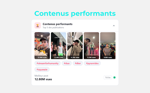 TikTok Analytics screenshot