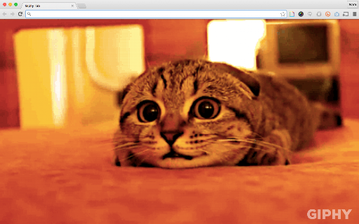 Giphy Tabs screenshot