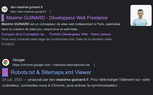 Site counter by title on the SERP 🔢 screenshot