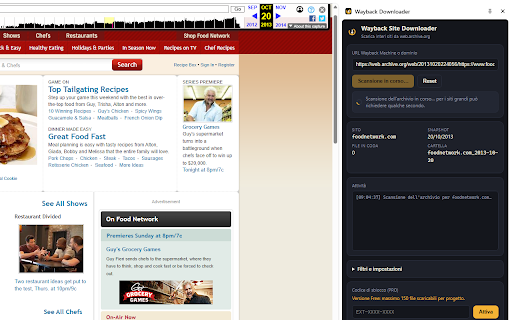Wayback Site Downloader screenshot
