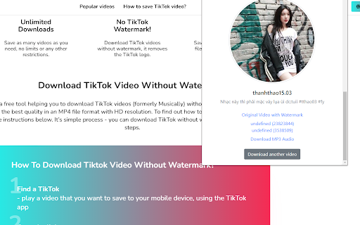 TkSave screenshot