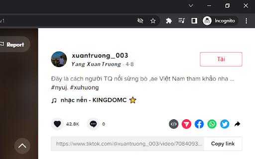 DNTik screenshot