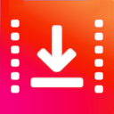 Video Downloader Professional Premium icon