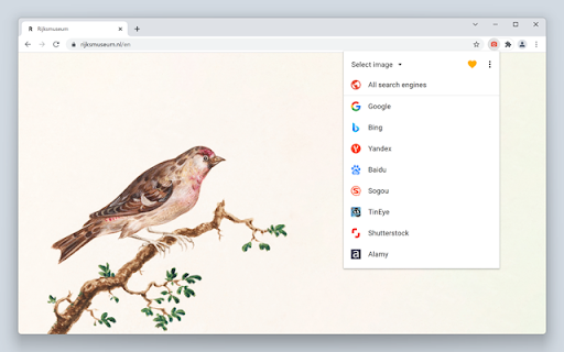 Search by Image screenshot