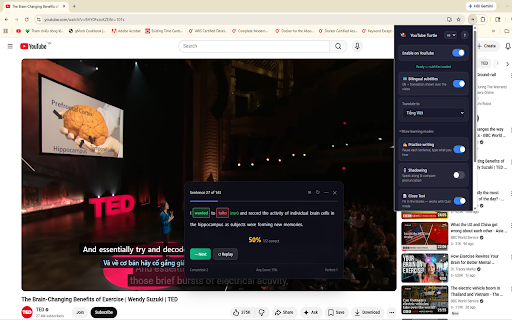 YouTube Turtle screenshot