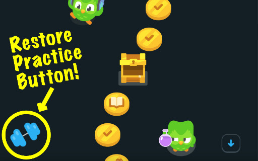 Duolingo Practice Button screenshot