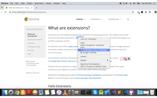 Cambridge Dictionary Lookup screenshot