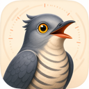 Auto Refresh Page, Tab Reloader & Page Monitor - Auto Reload Tabs and Pages icon