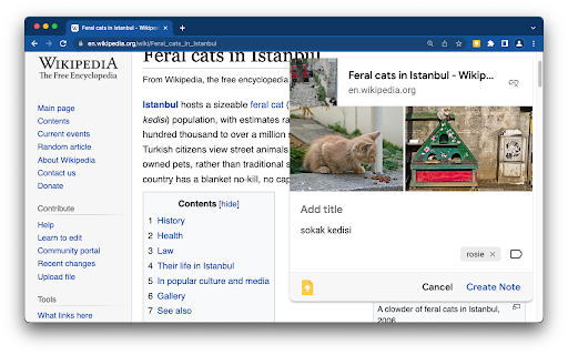 Google Keep Chrome Extension screenshot