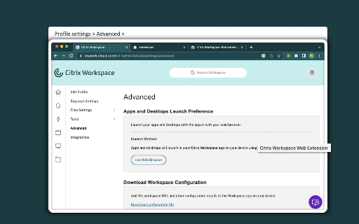 Citrix Web Extension screenshot