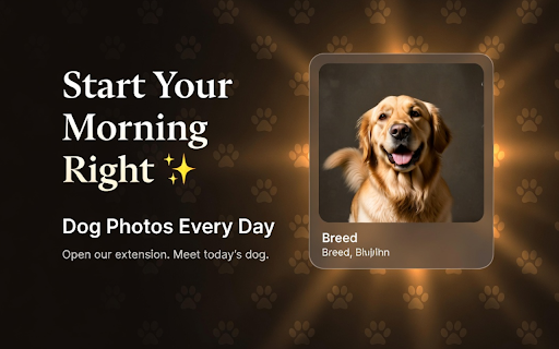DogOfTheDay - Best Free Dog Photos Daily screenshot