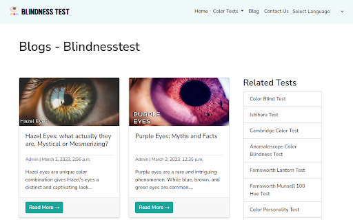 Blindness Test screenshot