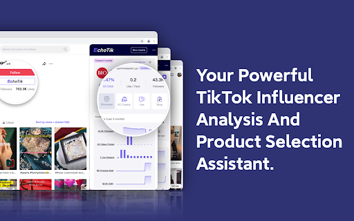 TikTok Analytics By EchoTik screenshot