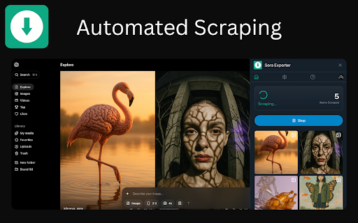 Sora Exporter - Download OpenAI Sora Media and Metadata screenshot