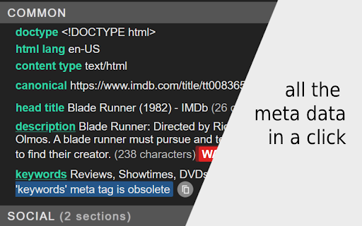 META SEO inspector screenshot