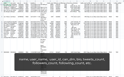 Twitter Followers Exporter – Export X Follower List to CSV screenshot